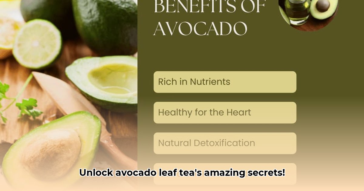 benefits-of-avocado-leaf-tea
